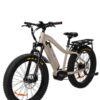BAKCOU MULE 21AH ELECTRIC BIKE